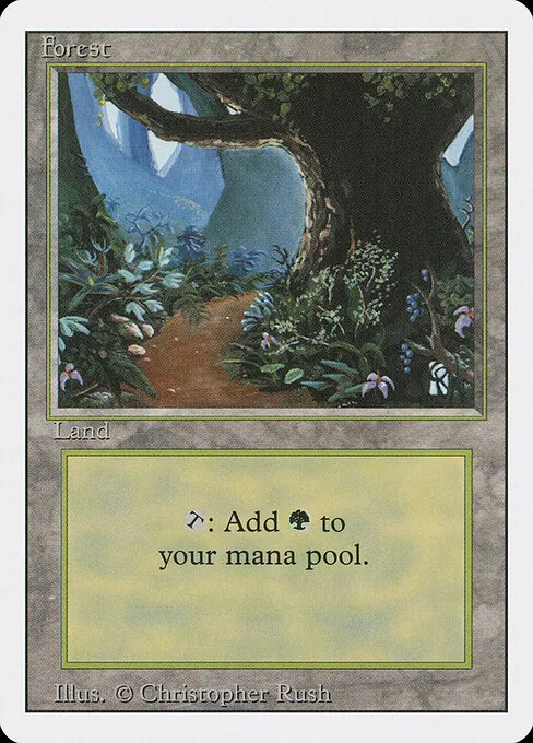 Forest 305/321