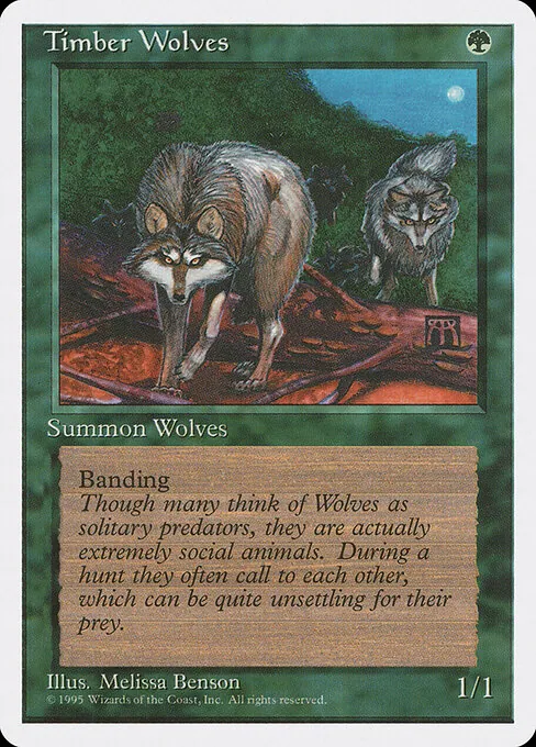 Timber Wolves 275/393