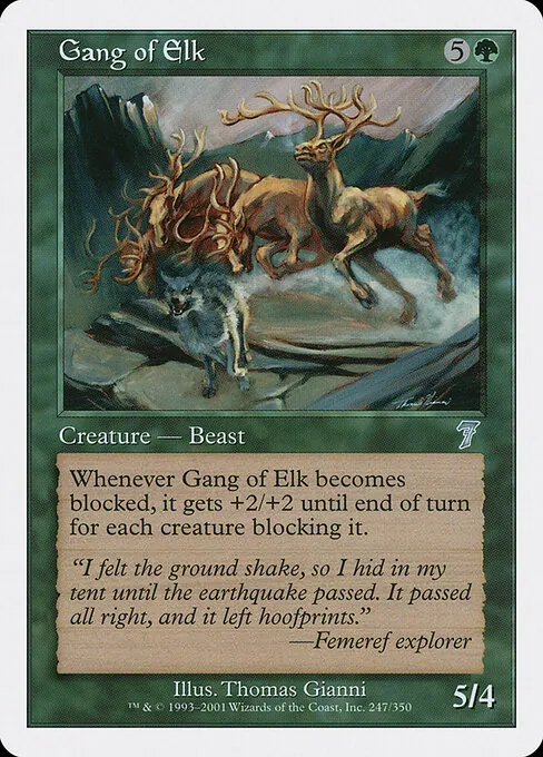 Gang of Elk 247/350