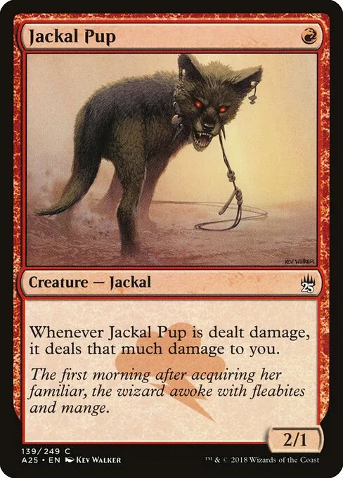 Jackal Pup 139/249
