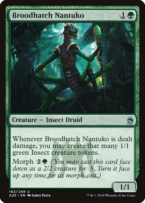 Broodhatch Nantuko 162/249