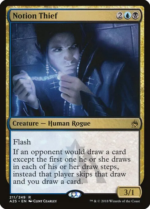 Notion Thief 211/249
