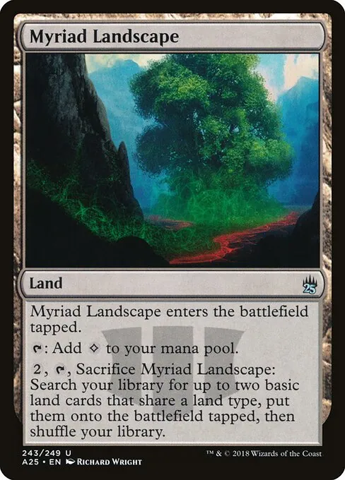 Myriad Landscape 243/249