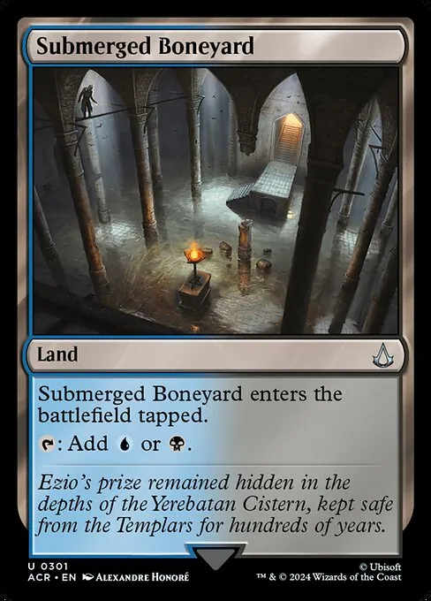 Submerged Boneyard 301/110