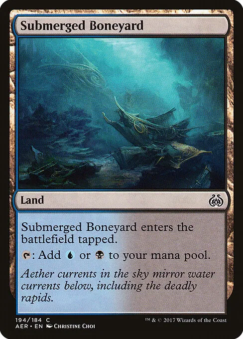 Submerged Boneyard 194/184