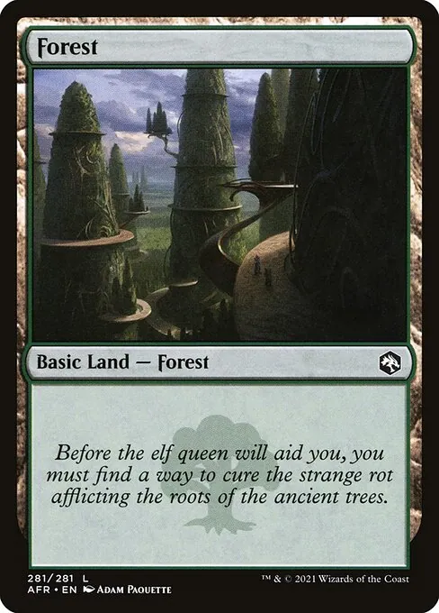 Forest 281/281