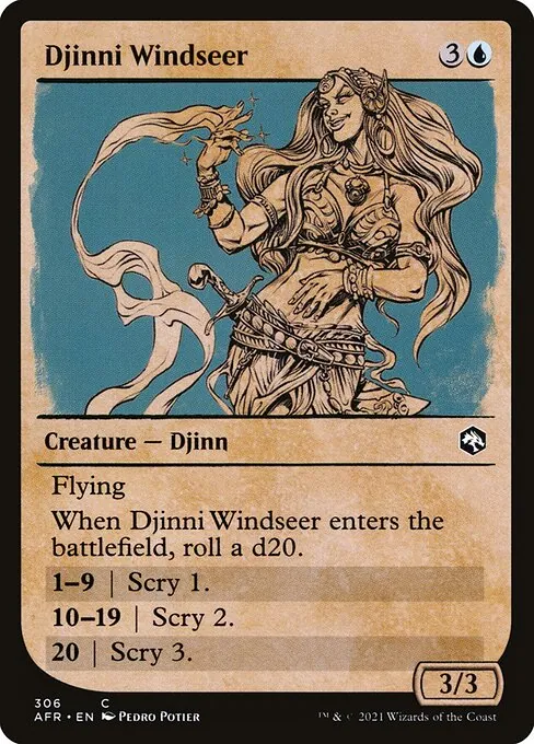 Djinni Windseer 306/281