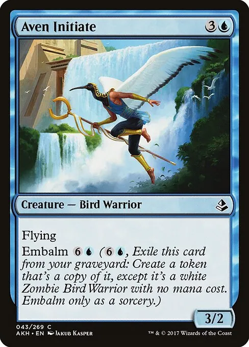Aven Initiate 043/269