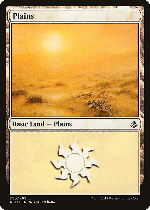 Plains 255/269