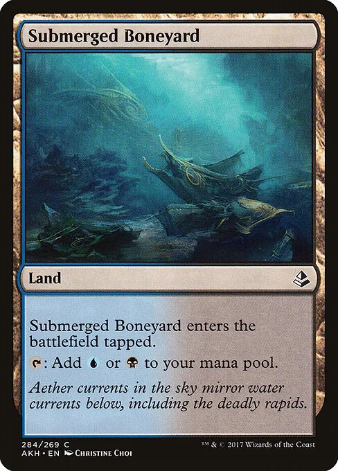 Submerged Boneyard 284/269
