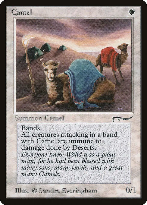 Camel 003/078