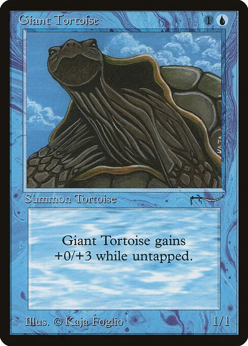 Giant Tortoise 015/078