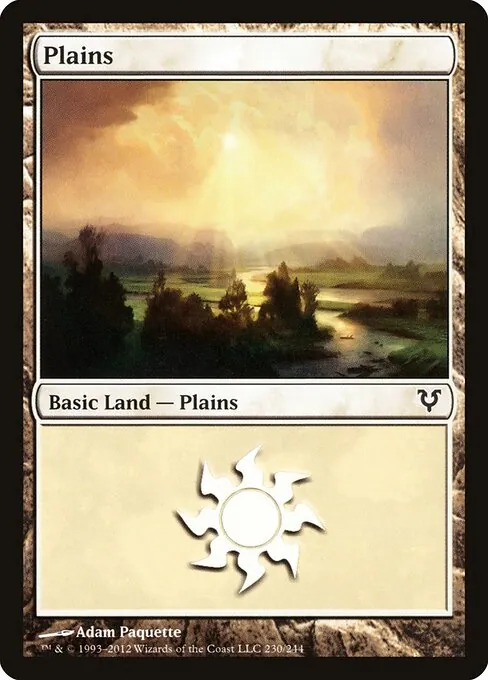 Plains 230/244