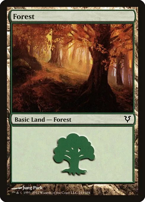 Forest 243/244