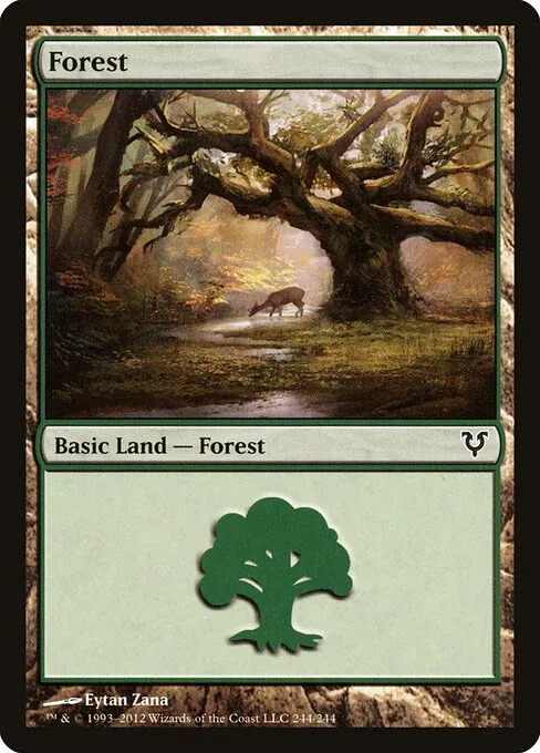 Forest 244/244
