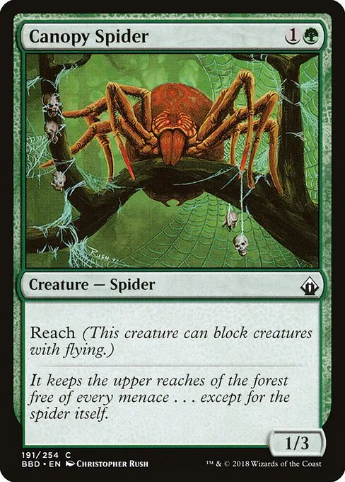 Canopy Spider 191/254