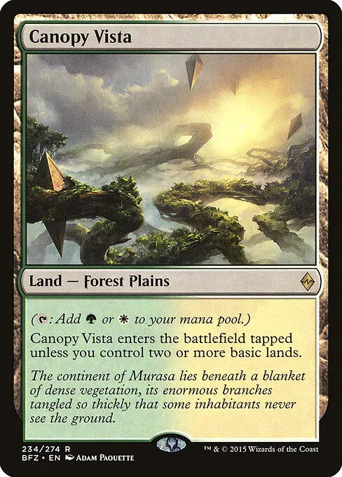 Canopy Vista 234/274