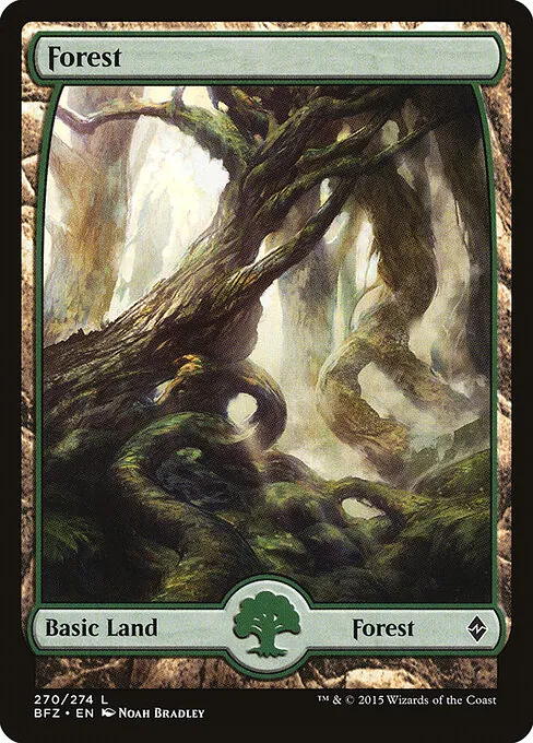 Forest 270/274