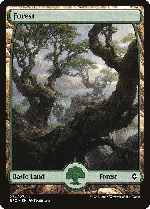 Forest 274/274