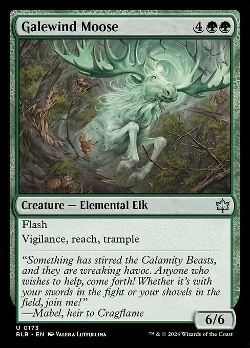 Galewind Moose 173/281