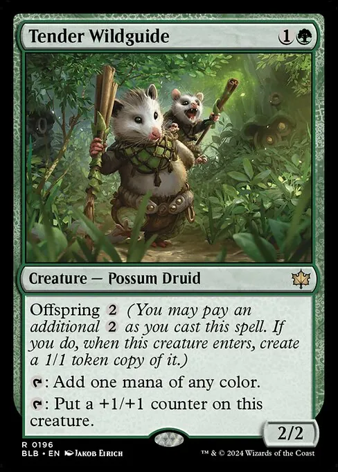 Tender Wildguide 196/281