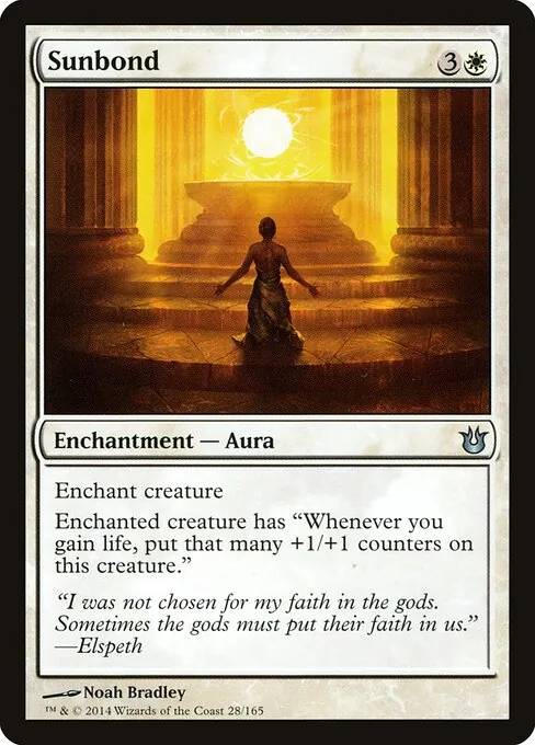 Sunbond 028/165