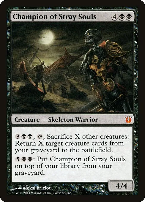 Champion of Stray Souls 063/165