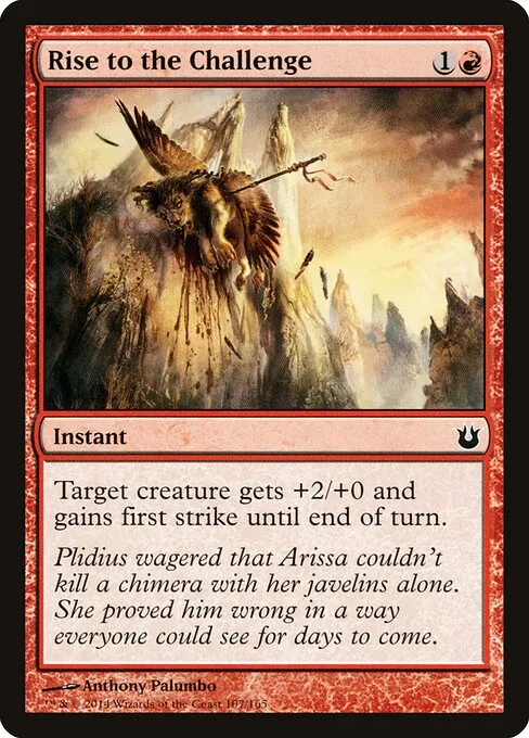 Rise to the Challenge 107/165