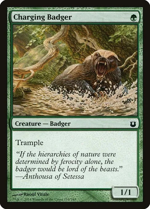 Charging Badger 118/165