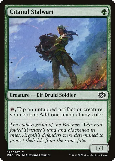 Citanul Stalwart 175/287