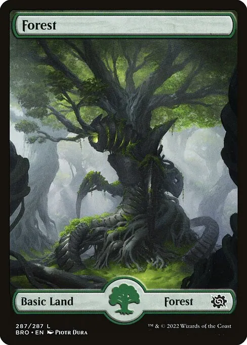 Forest 287/287