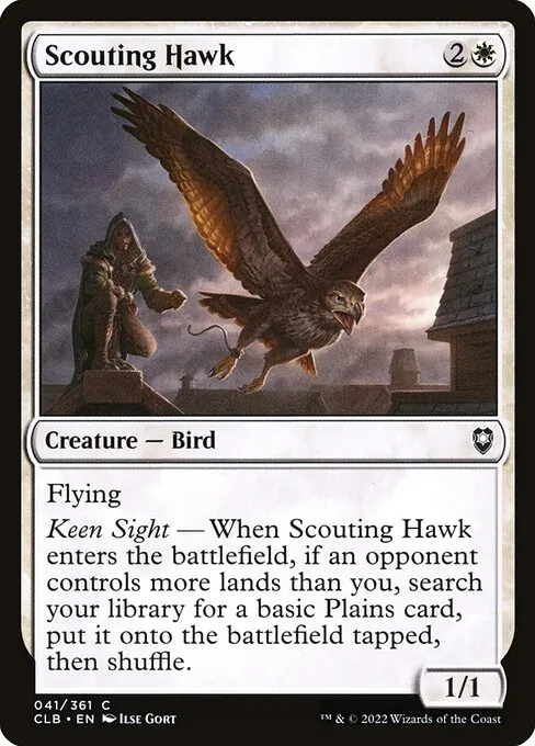 Scouting Hawk 041/361