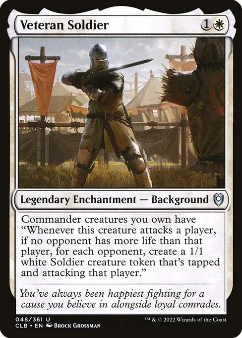 Veteran Soldier 048/361