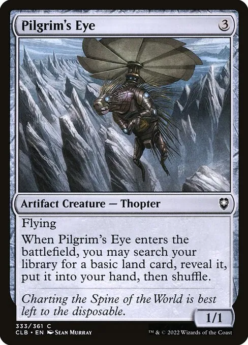 Pilgrim's Eye 333/361