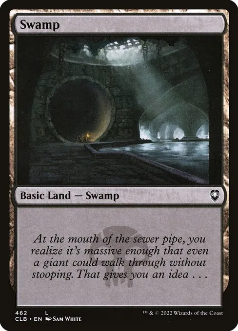 Swamp 462/361