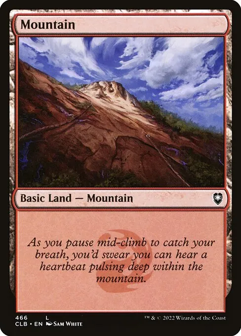Mountain 466/361