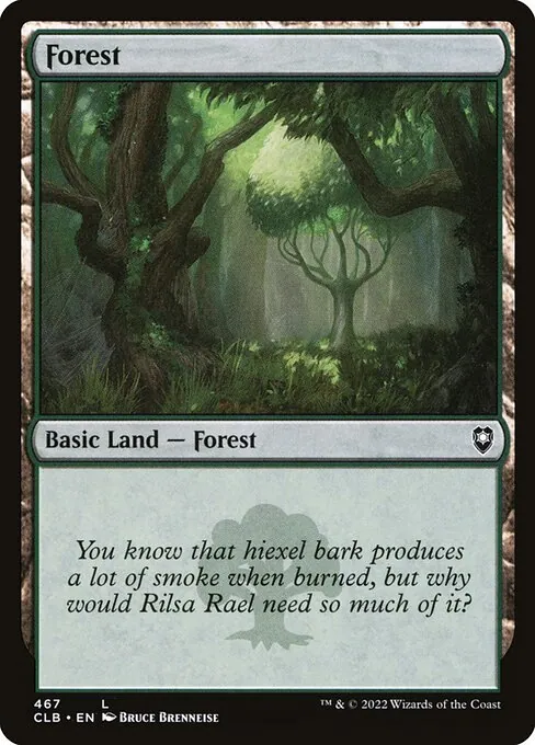 Forest 467/361