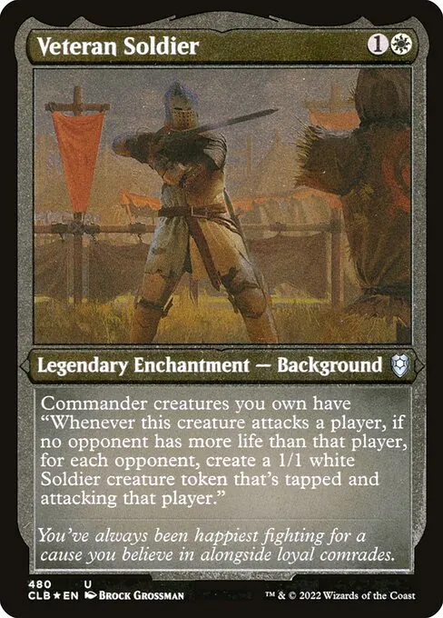 Veteran Soldier 480/361
