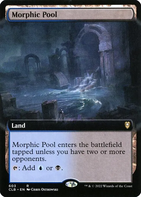 Morphic Pool 603/361