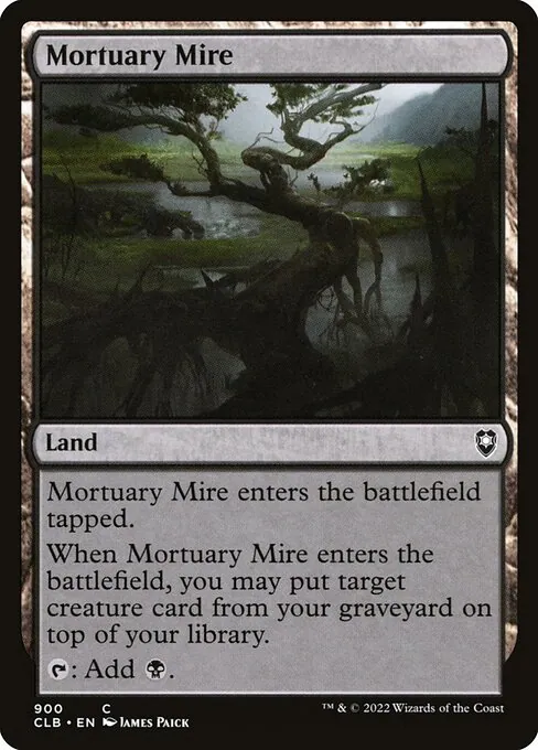 Mortuary Mire 900/361
