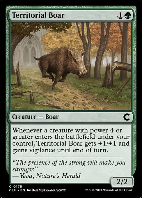 Territorial Boar 175/284