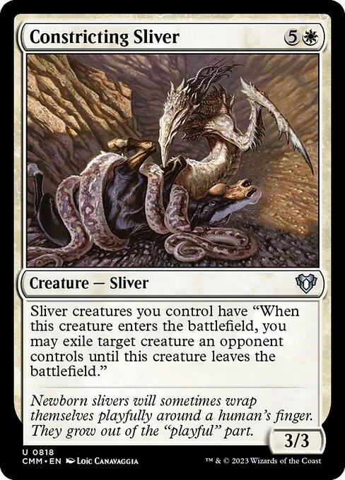 Constricting Sliver 818/769