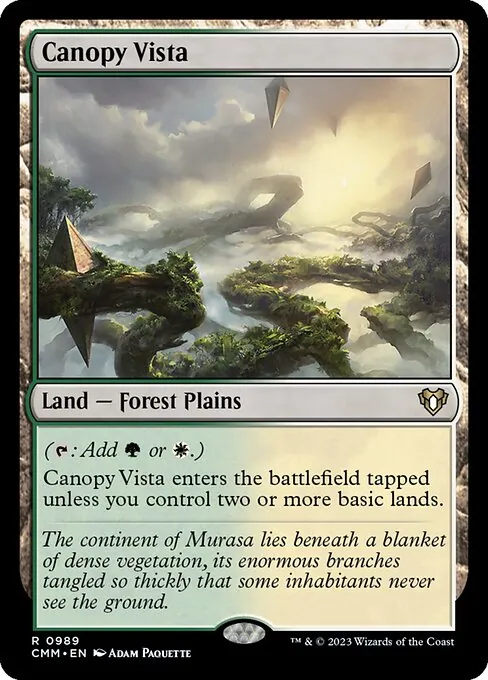 Canopy Vista 989/769