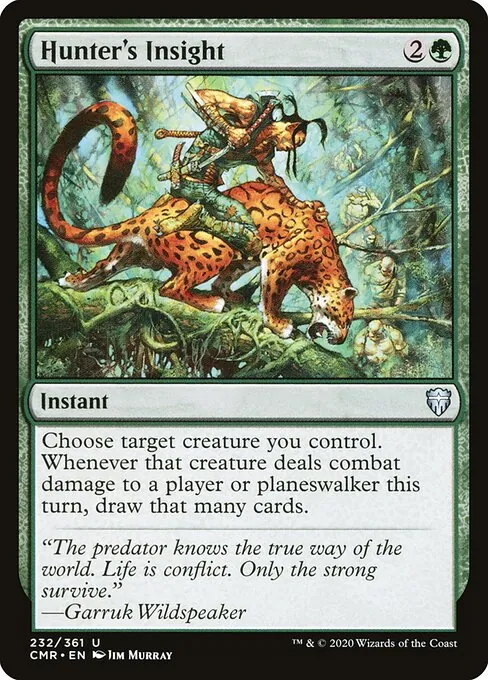 Hunter's Insight 232/511