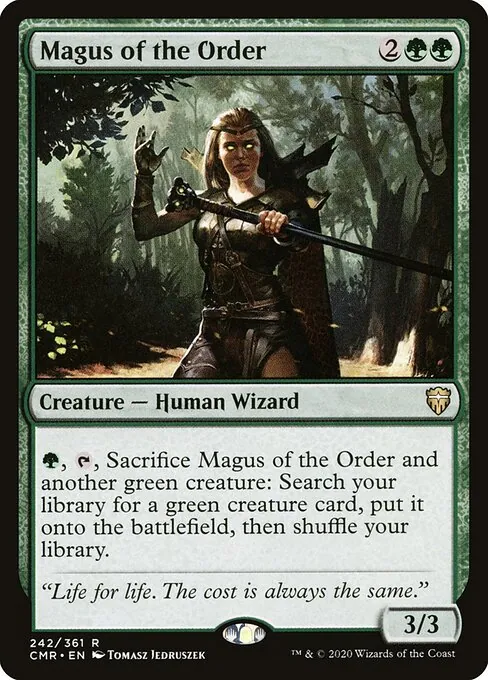 Magus of the Order 242/511