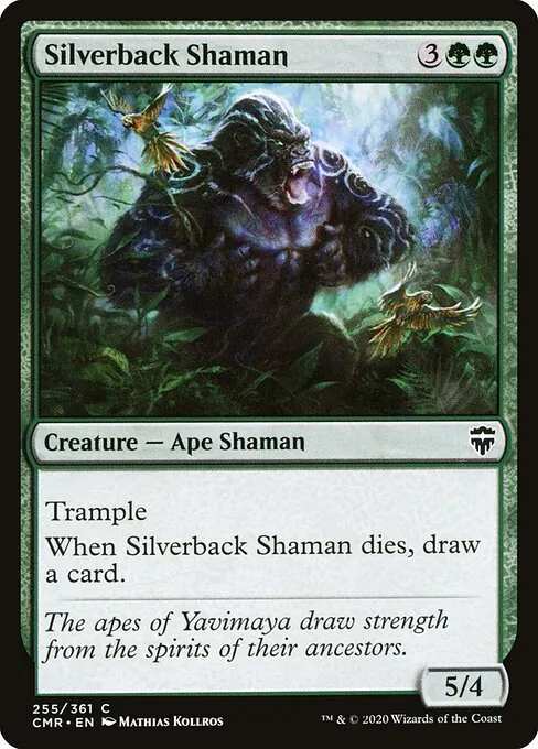 Silverback Shaman 255/511