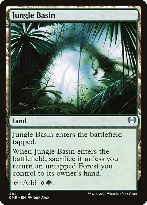 Jungle Basin 484/511