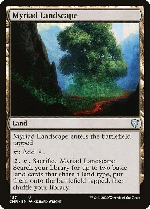 Myriad Landscape 487/511