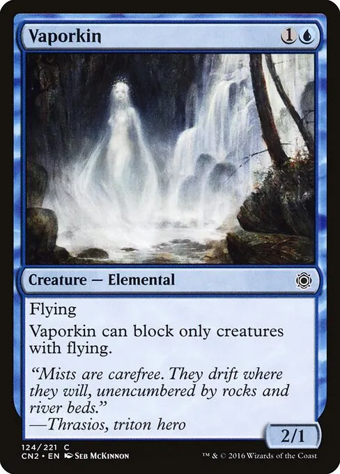 Vaporkin 124/221
