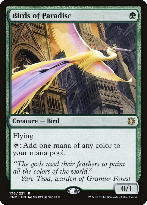 Birds of Paradise 176/221